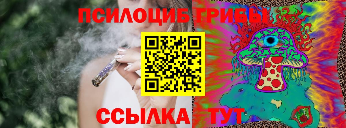 Галлюциногенные грибы GOLDEN TEACHER  Вход с VPN  Губкинский 